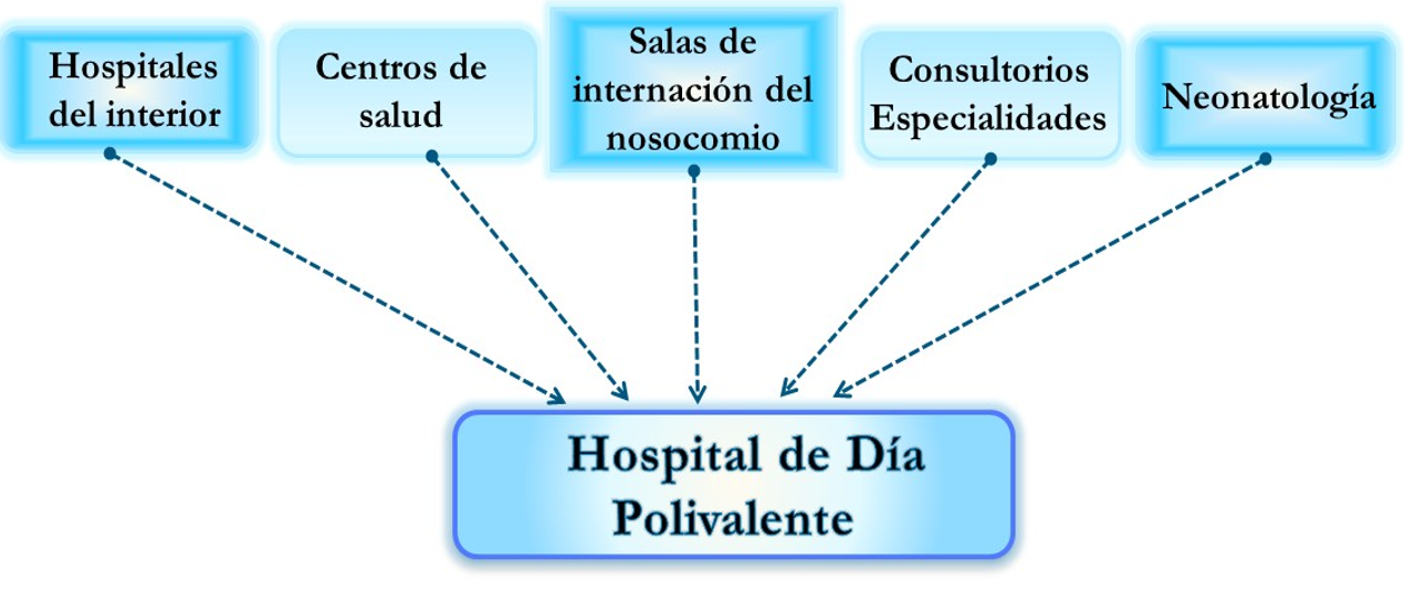 Organigrama Hospital de Dia Polivalente Oragamigrama hospital de dia